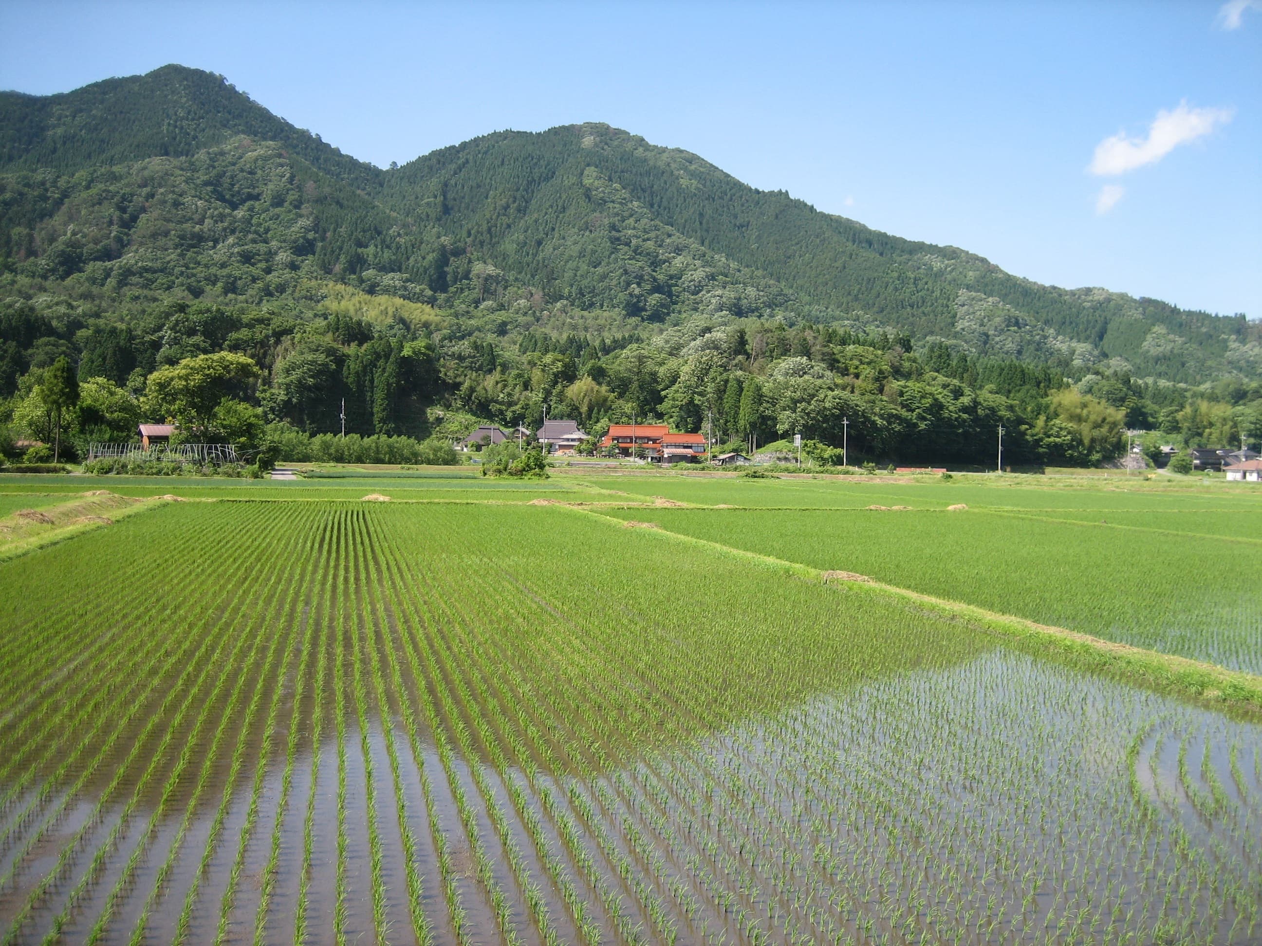 農業研修制度をイメージした日南町田園画像