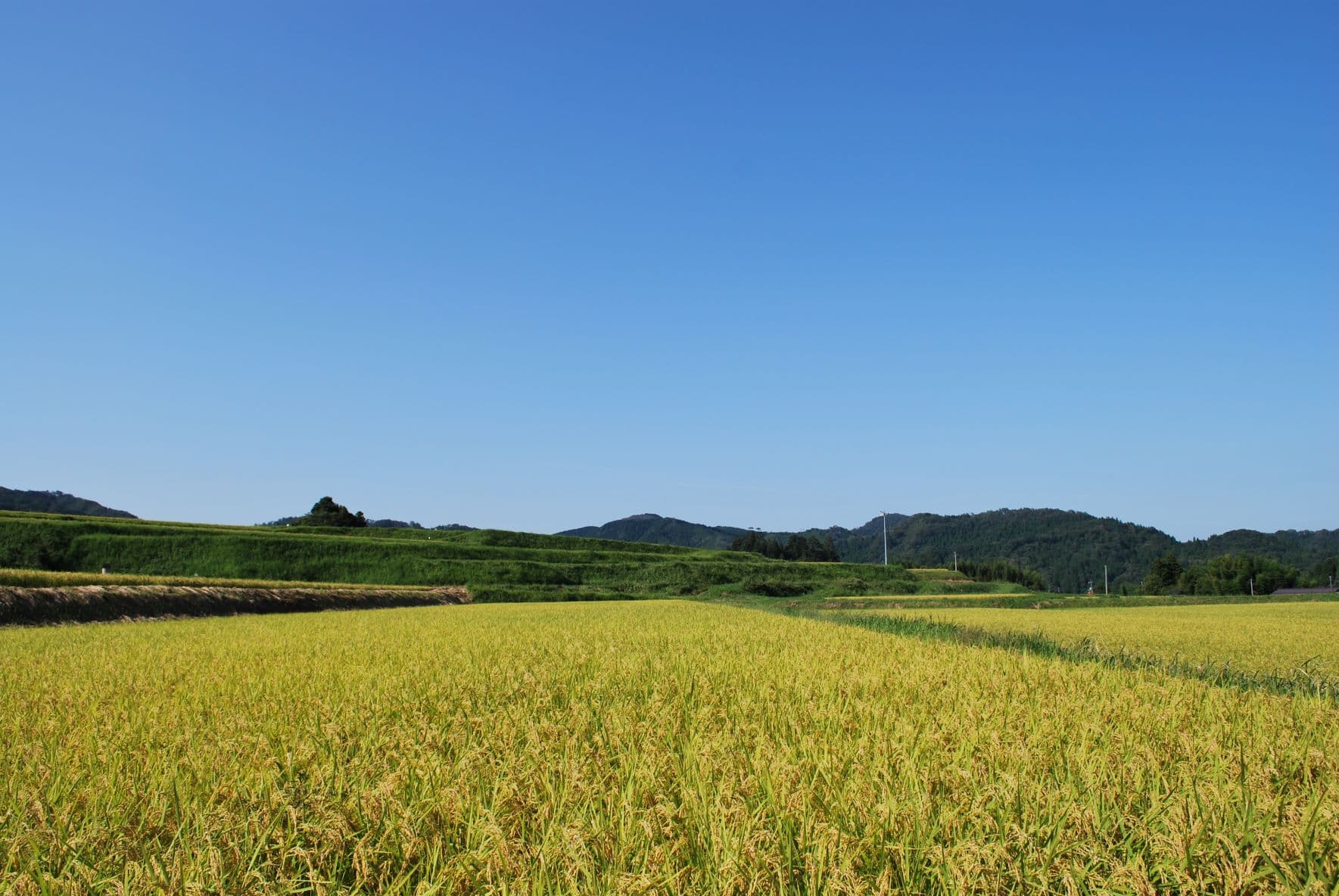 日南町の田園風景画像