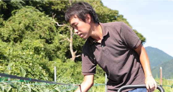 農業研修制度の紹介イメージ